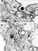 EM's of Ad2 in coated pits, coated and uncoated vesicles